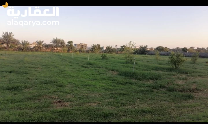 #ارض زراعية + فيلا للبيع في صحم