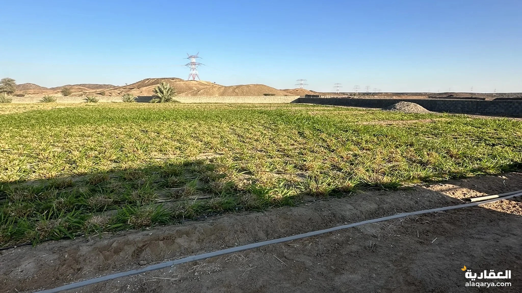 #مزرعه بارض خصبه وماء وفير