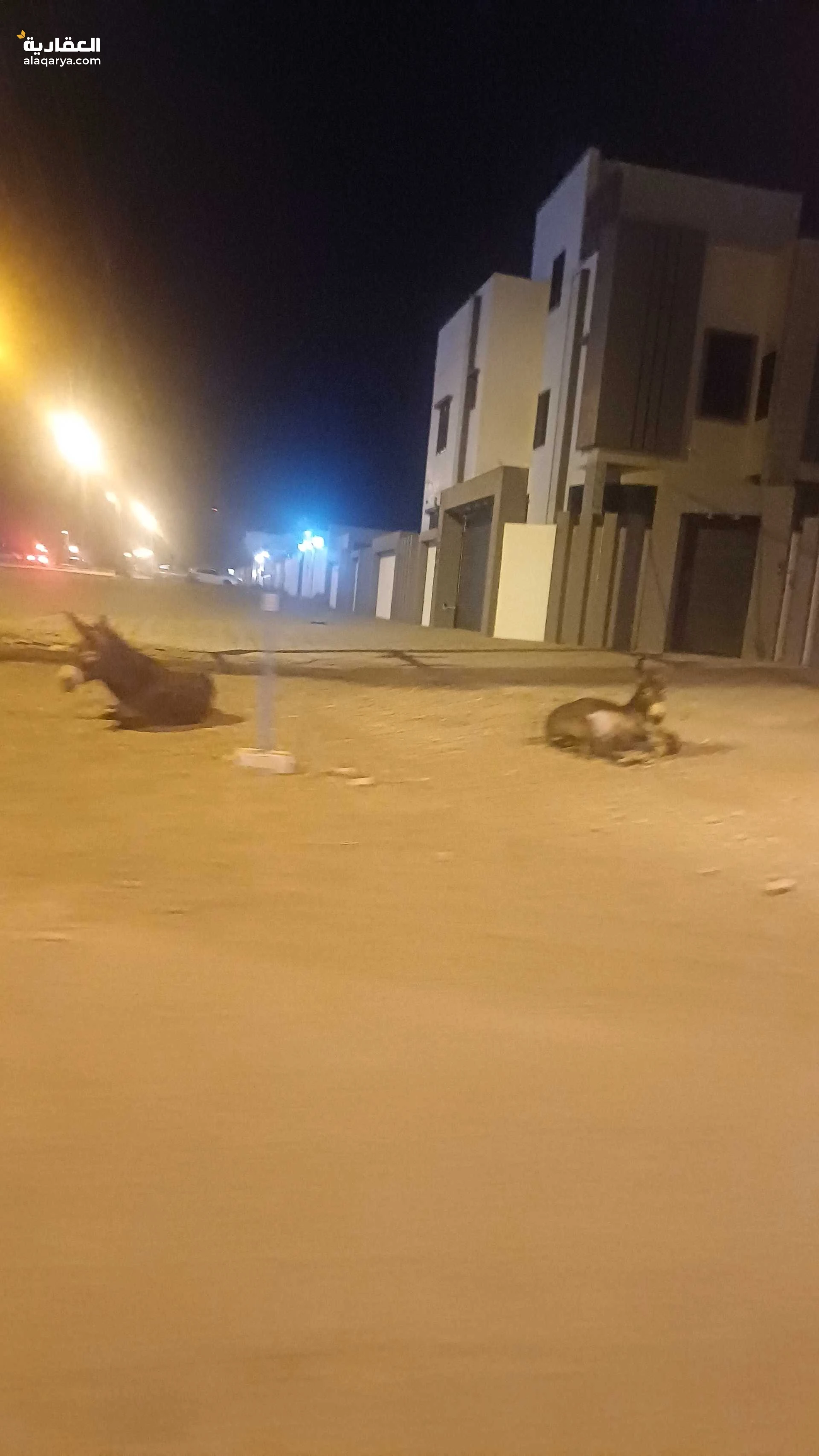 ارض سكنيه للبيع