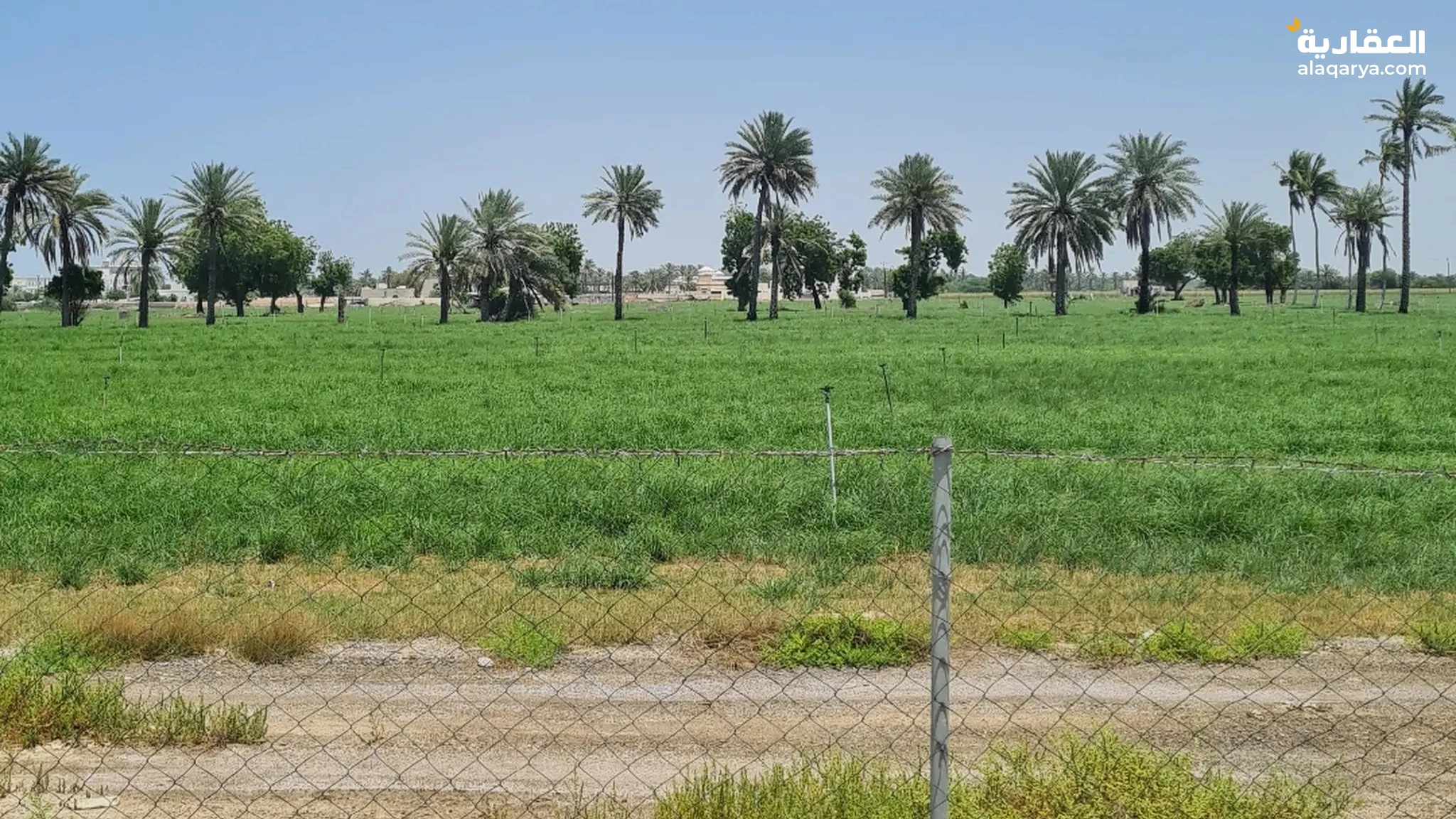 #أنا المالك أرض زراعية ف السوادي جنوب بالقرب من الحديقة المائية