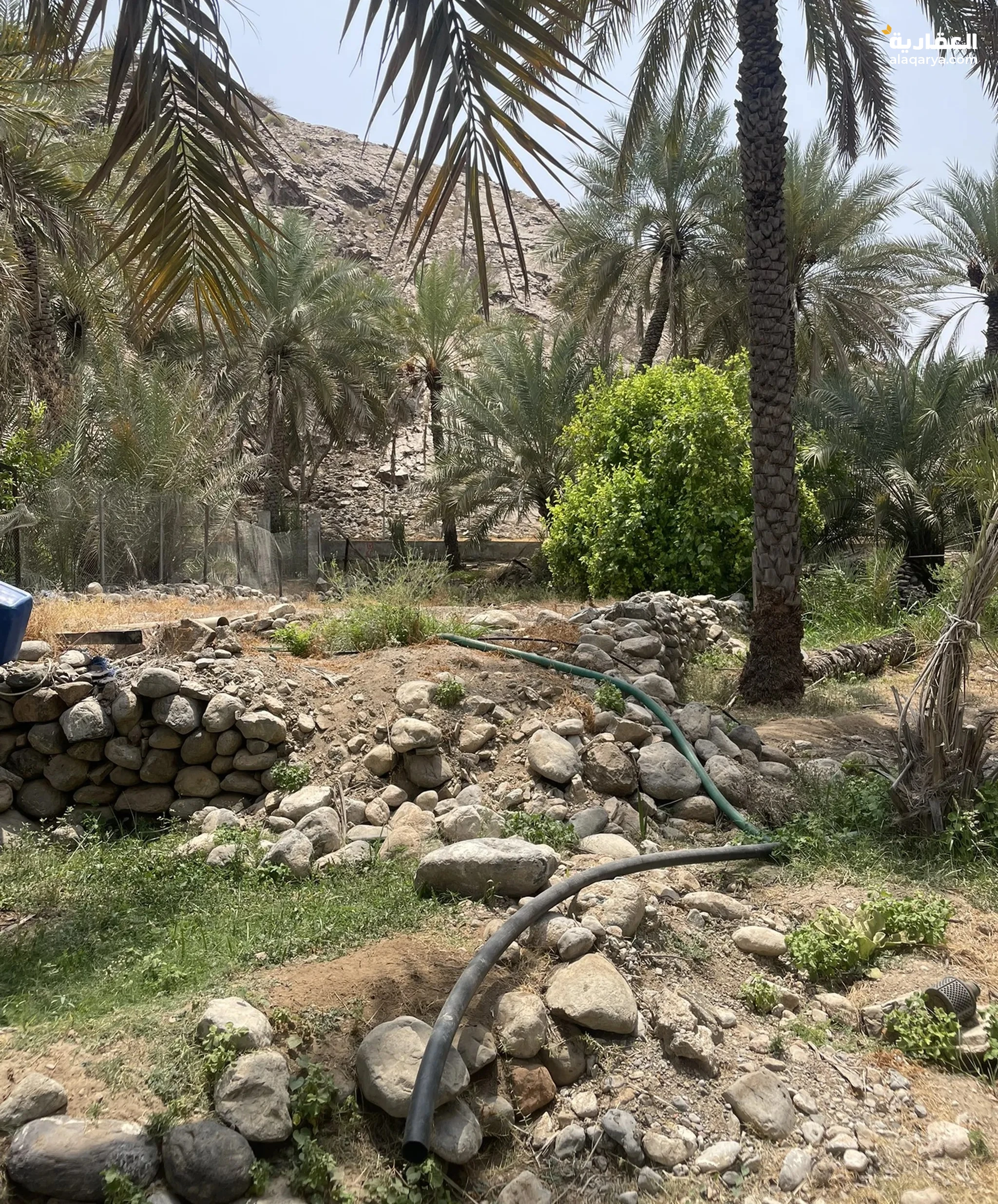 #مزرعة للبيع