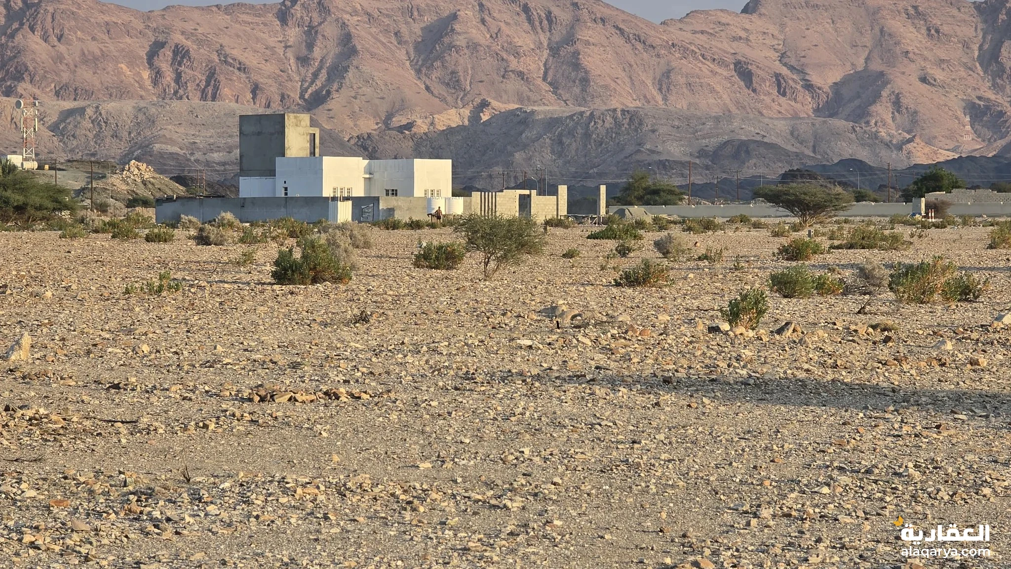 #انا المالك والملك لله ارض ف العامرات جحلوت الاولى